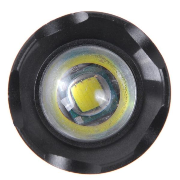 S Fled 0100p 5.jpg