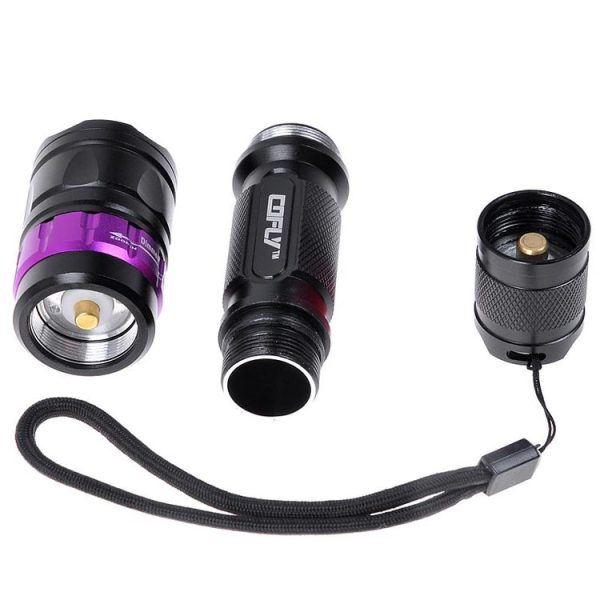 S Fled 0100p 7.jpg
