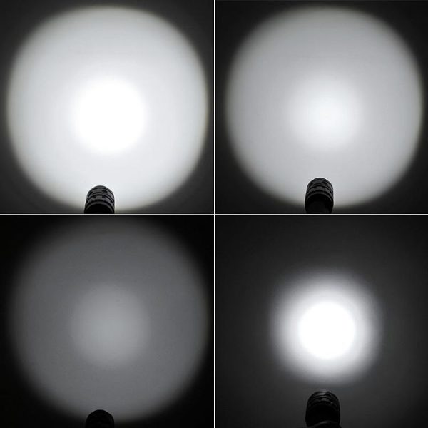S Fled 0100p 8.jpg