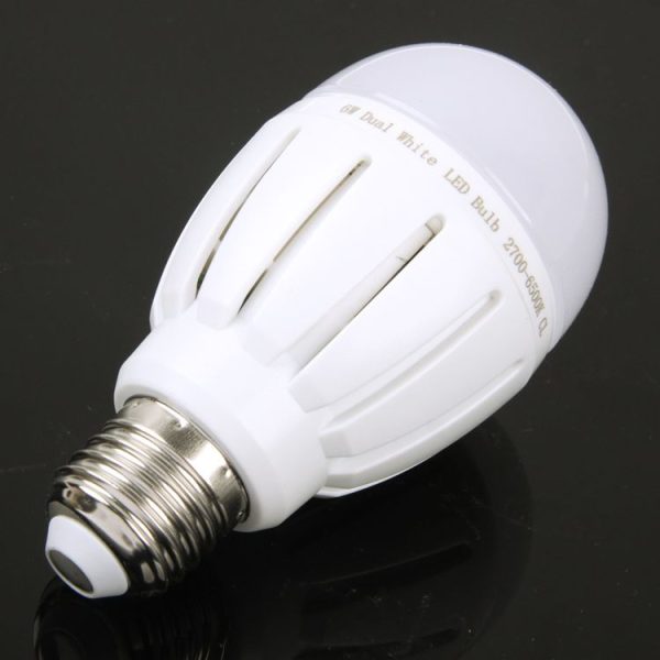 S Led 0248 3.jpg