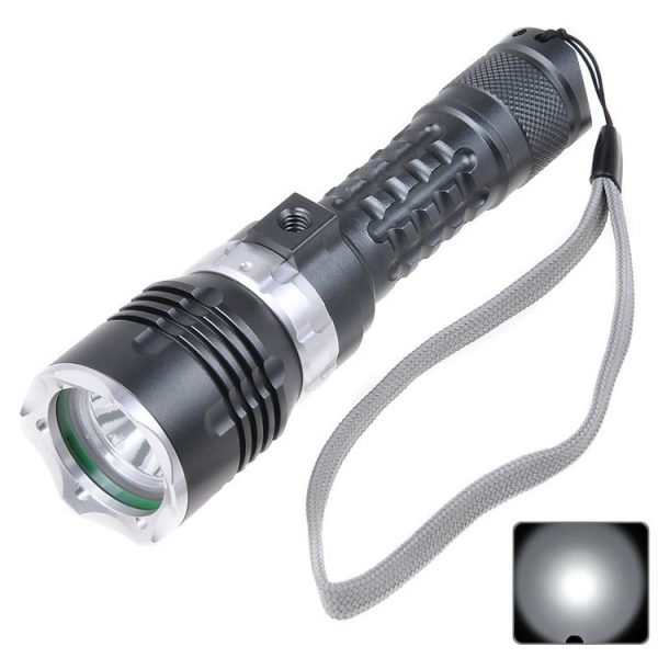 S Led 0263 2.jpg