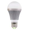 S Led 0297 3.jpg