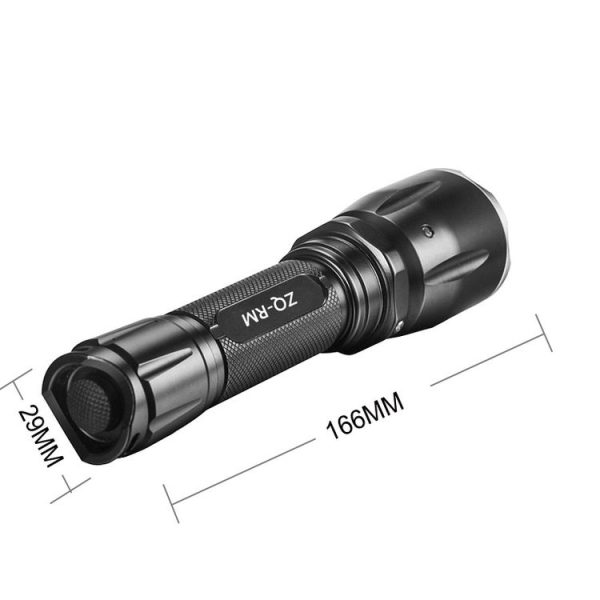 S Led 0319b 5.jpg