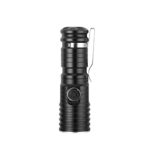 S Led 0325b 5.jpg