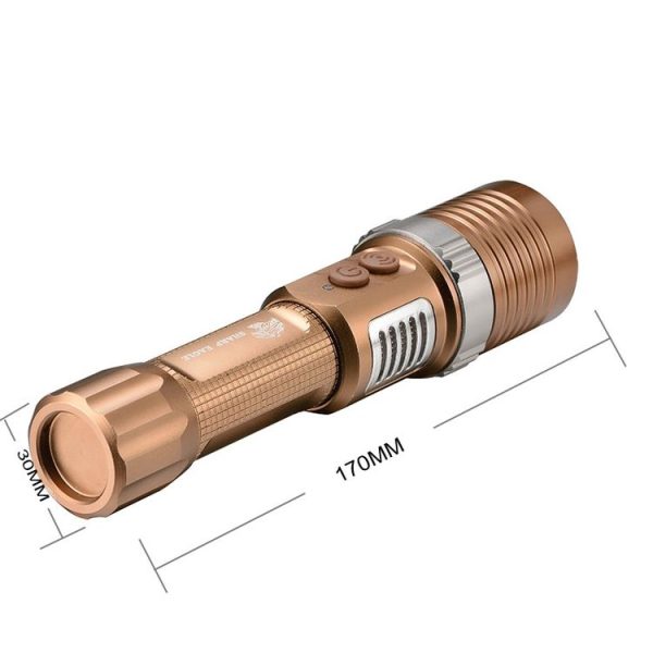 S Led 0327c 3.jpg