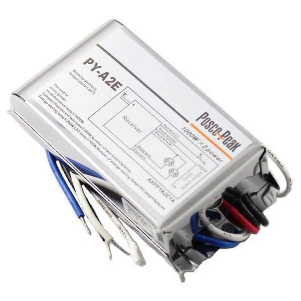 S Led 2006 3.jpg