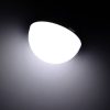 S Led 2555w 4.jpg