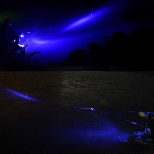 S Led 9950 10.jpg