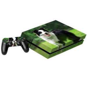 S Ps4 0025s 1.jpg