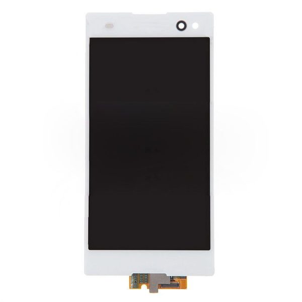 S Sp 2020w 2.jpg