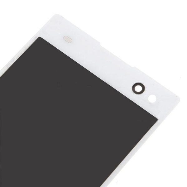 S Sp 2020w 4.jpg