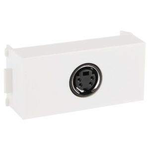 S Wp 0221 1.jpg