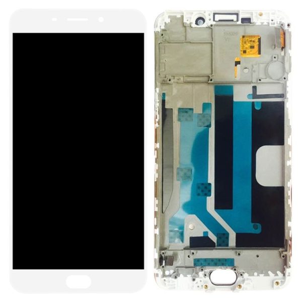 Sp1351w 3.jpg