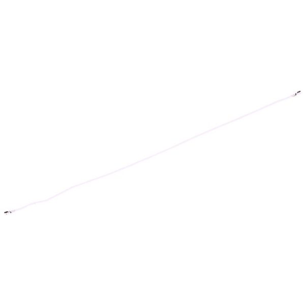 Sp2795 3.jpg