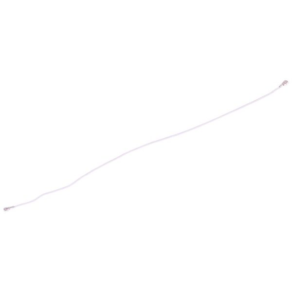 Sp2795 4.jpg