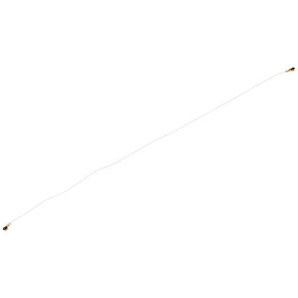 Sp2818 3.jpg