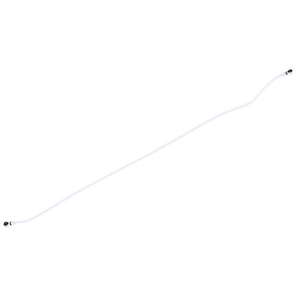 Sp2829 3.jpg