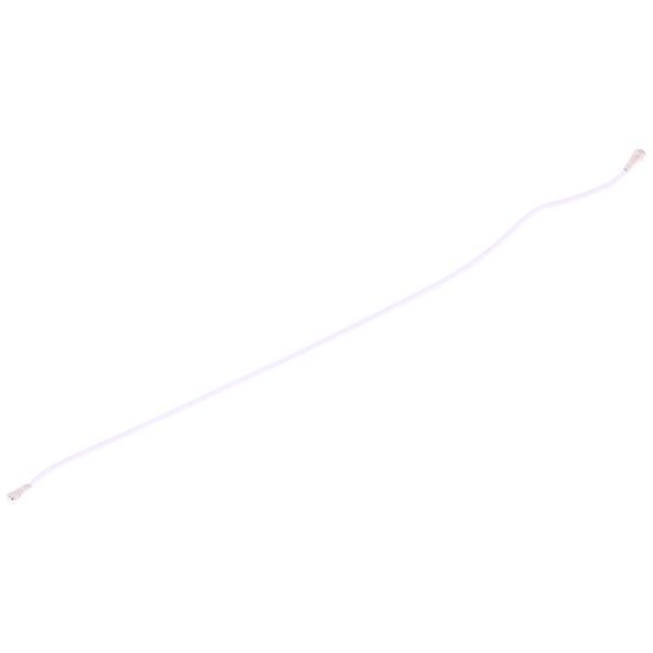 Sp2829 4.jpg