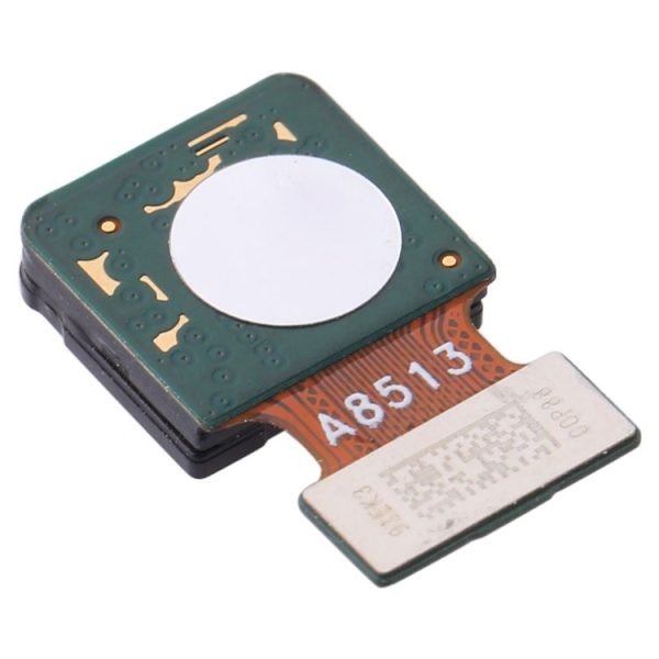 Sp5884 4.jpg