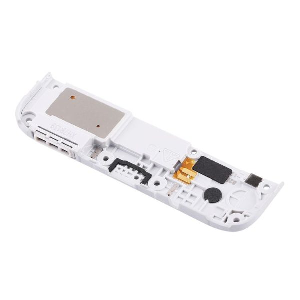 Sp8581 4.jpg