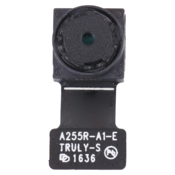 Sp9956 1.jpg