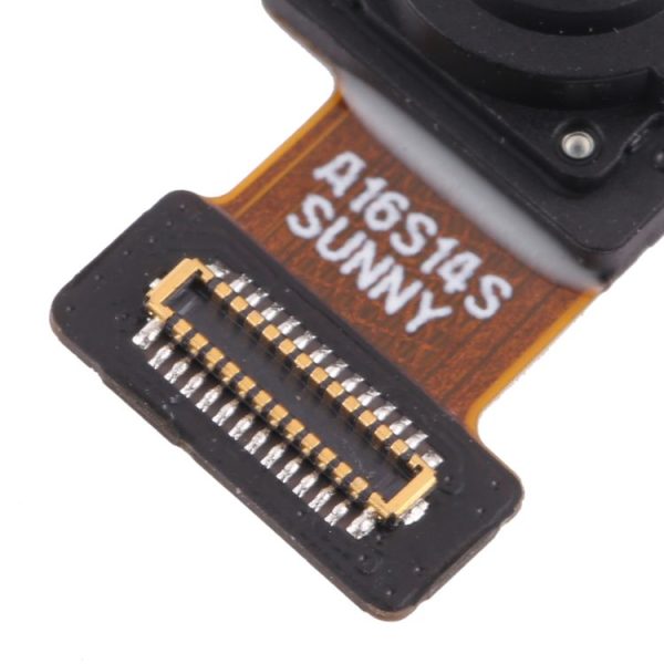Sps4165 4.jpg