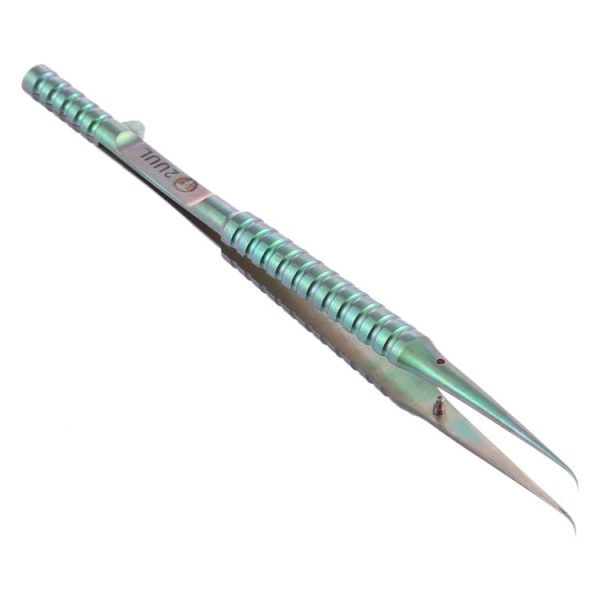 Spt0081 3.jpg