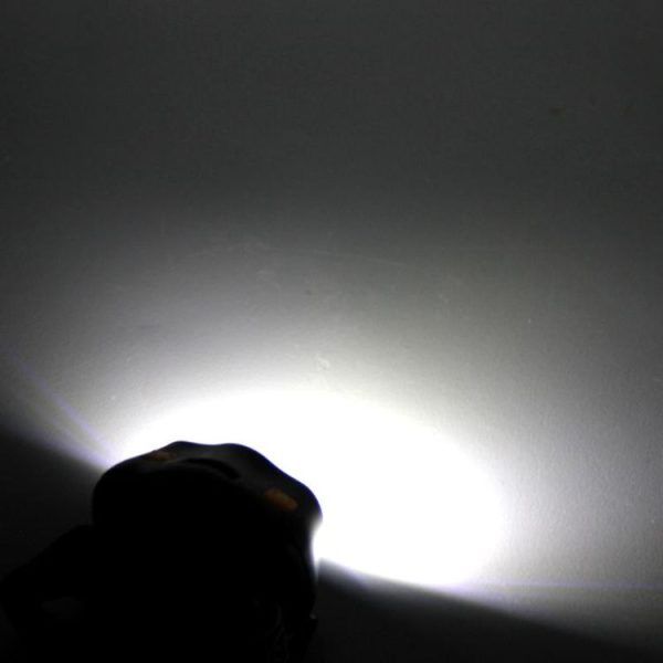 Tbd0125672 6.jpg
