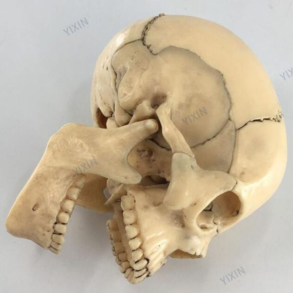 Tbd0420190601b 4.jpg