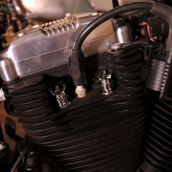 Tbd0559369201b 7.jpg