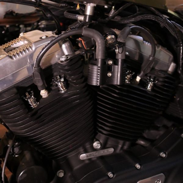 Tbd0559369201b 8.jpg