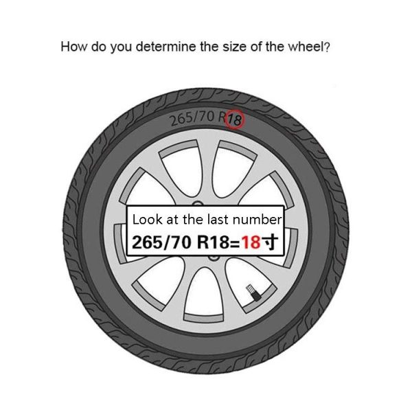 Tbd0564083001b 4.jpg