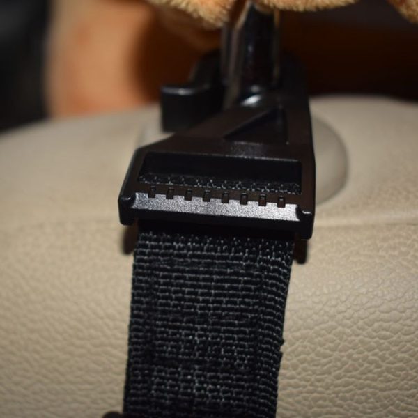 Tbd05722791 5.jpg