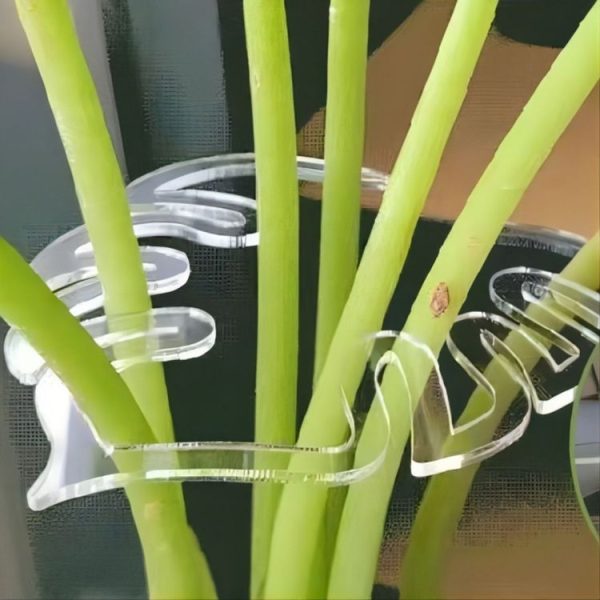Tbd0605265501 6.jpg