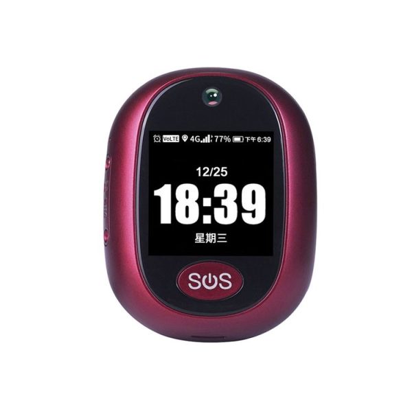 Tgps0016wr 2.jpg