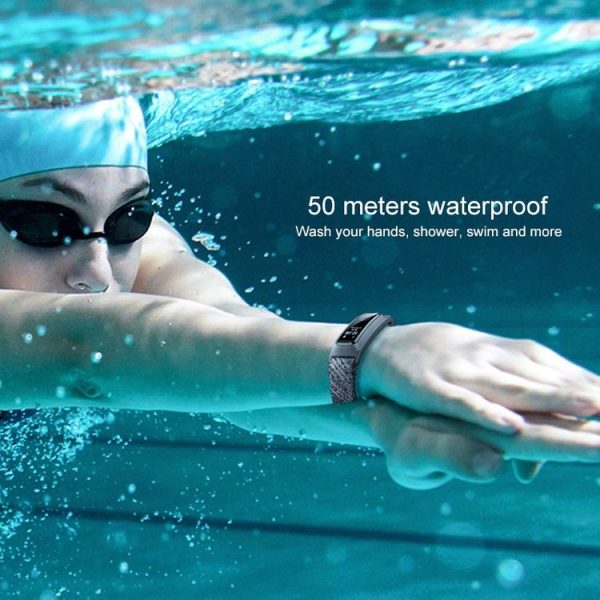 Wa5320h 11.jpg