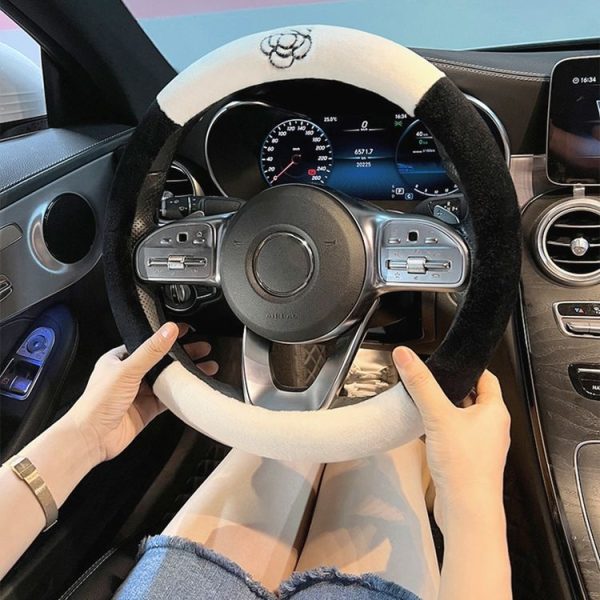 Car2872 3.jpg