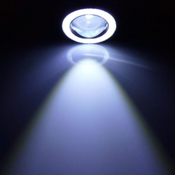 Cms0016wl 7.jpg
