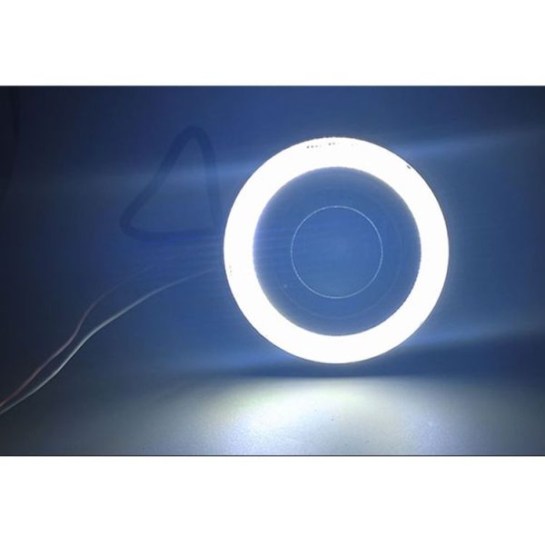 Cms0016wl 8.jpg