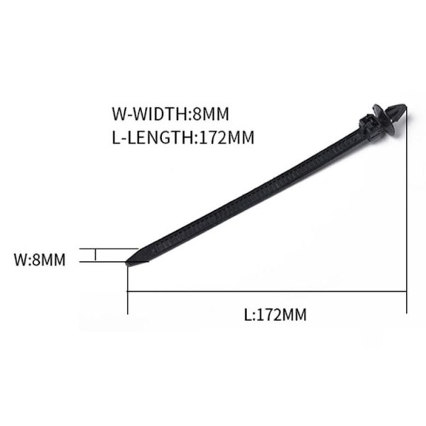 Cms8959 4.jpg