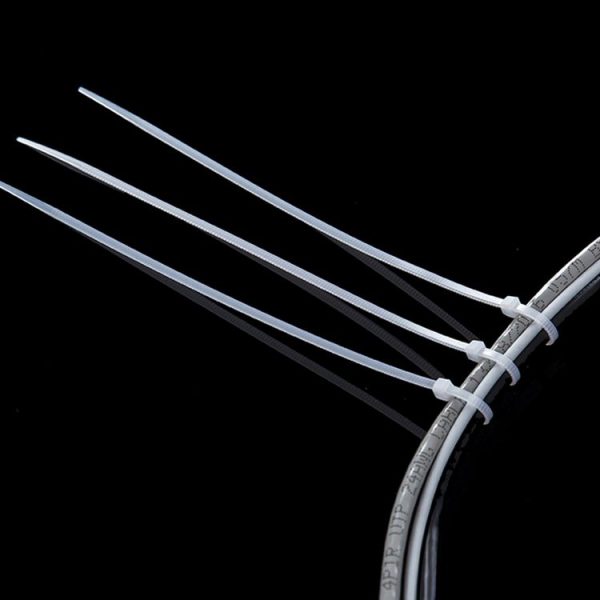 Cms9156w 9.jpg