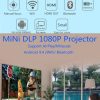 Dmp0033b 9.jpg