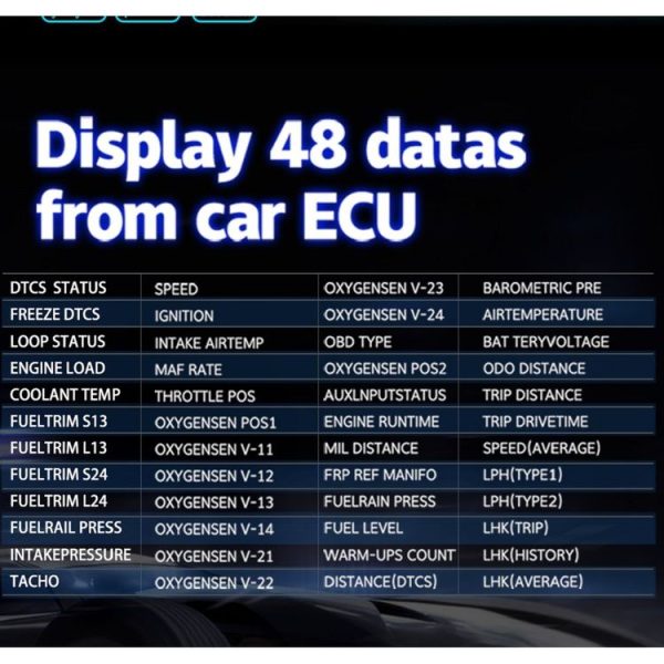 Eda0010883 16.jpg