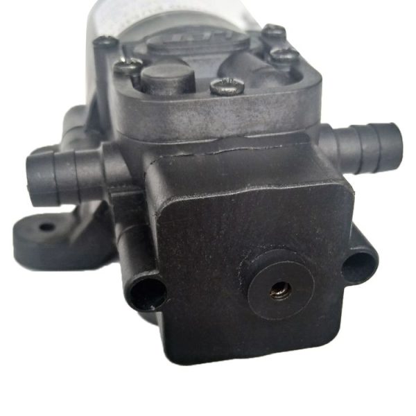 Eda00504902 4.jpg