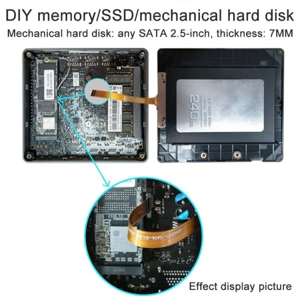 Eda0073395 7.jpg