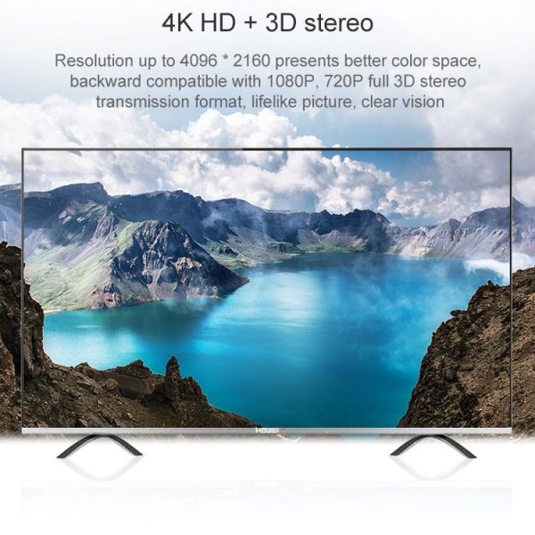 Hdmi0117 10.jpg