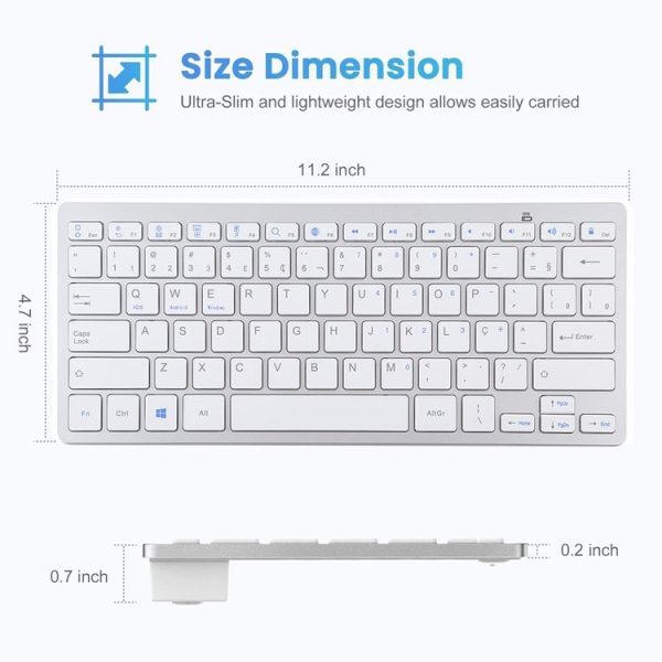 Kb0232s 7.jpg