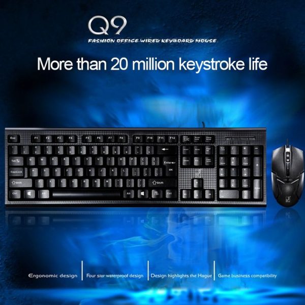 Kb2381b 3.jpg