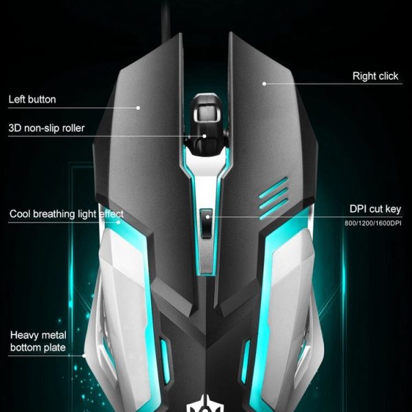 Kb6224w 11.jpg