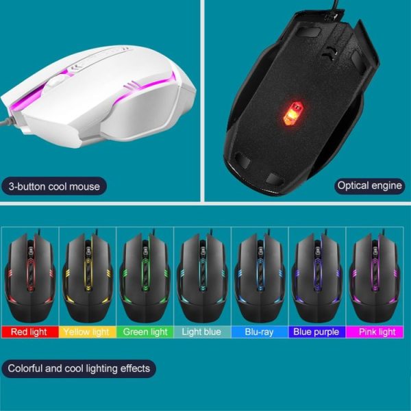 Kb6225w 6.jpg
